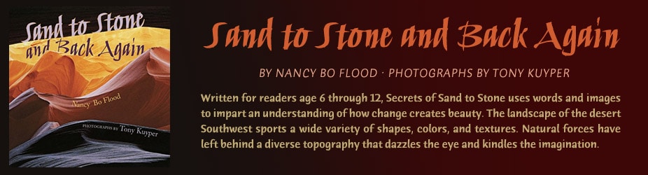 From Sand to Stone and Back Again by Nancy Bo Flood