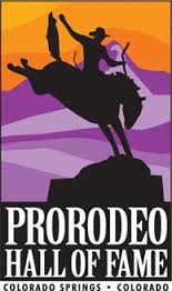 Pro Rodeo logo