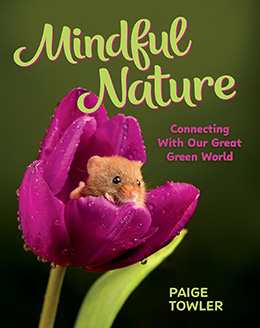 Mindful Nature by Paige Tawlor
